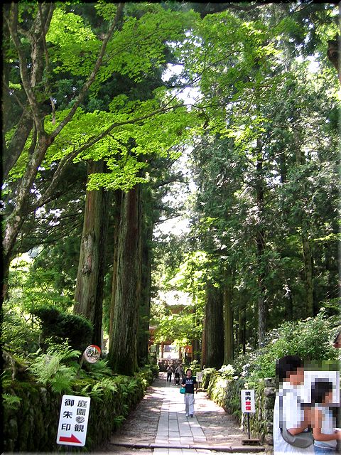 南へGo!（寒天と早太郎伝説の地へ）