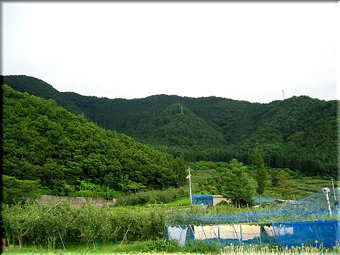 夏休み企画、里山で遊ぼう～！