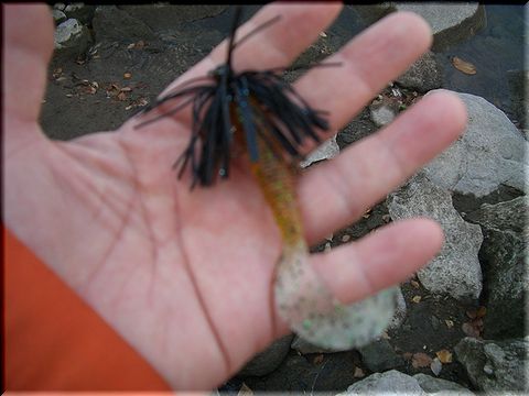 愛妻家の草津温泉ドライブ日記