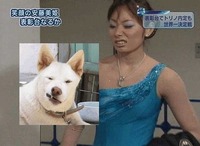 けっ！ 2011/07/06 13:58:39