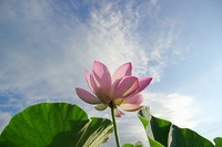 父、永眠 2011/03/12 08:21:59
