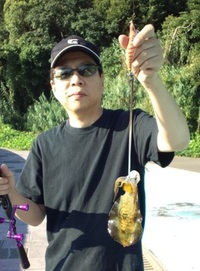 アチィ～デイ釣行 2011/08/29 12:07:17