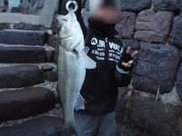 Ｍ１－ＣＵＰ終了～♪ 2011/02/20 13:48:48
