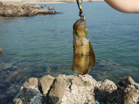 Giii・・・(´д≡； ) 2012/09/23 18:36:30