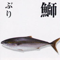 明日が 2012/12/28 19:49:44