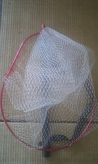 ポチットな！ 2009/05/14 17:39:57