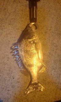 半年ぶりの、大分 2009/05/03 23:16:45