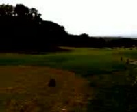 バリ島でゴルフ