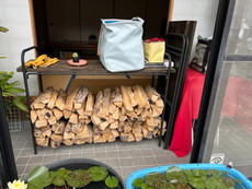 薪の育成！！ 我が家の薪は那須高原で購入後こちらで育てております！！