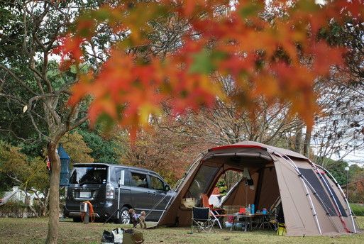 新そば祭りの出会いの森オートキャンプ場へ、カイ君連れておキャンプです！！ その２