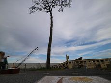 陸前高田でお土産買って、今夜のお宿は海鮮尽くしの気仙沼～～！！