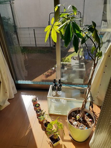 日向ぼっこ 2023/02/11 14:28:59