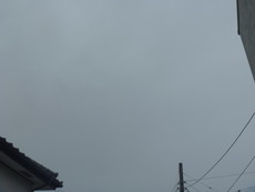 Seriaミニ鉄板シーズニング 2021/06/06 18:39:40