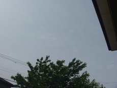 テントの天日干し 2022/05/08 09:14:34