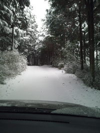 新雪ぱふぱふ♪綿向山を途中まで～～。 2014/01/20 09:39:52