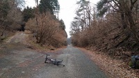 何とか自転車復活