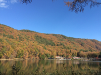 四尾連湖の秋