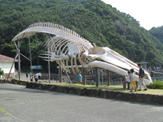 2016/8/11～14　紀伊半島の旅