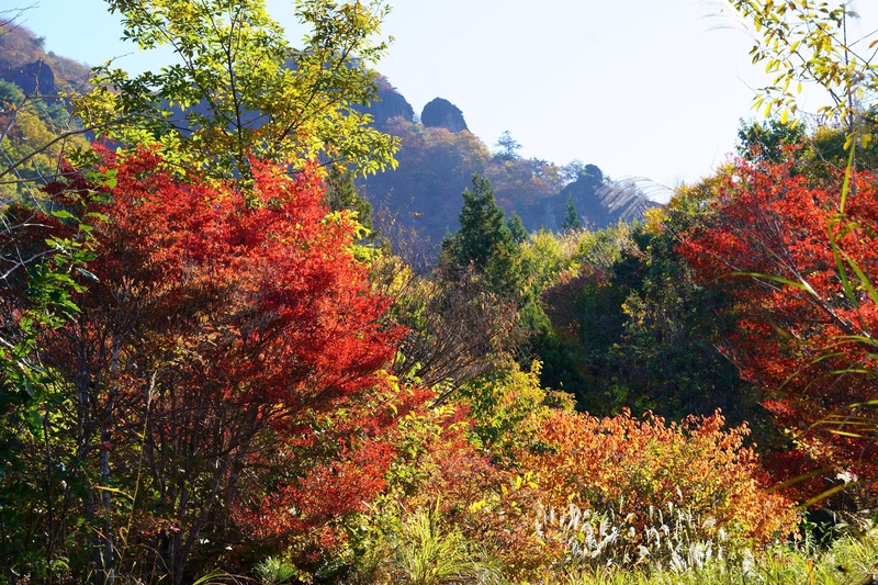 秋深む霊山