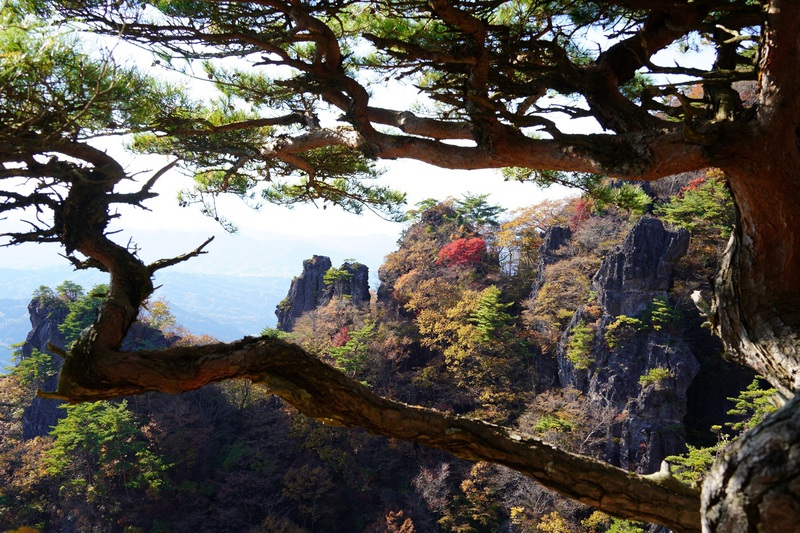 秋深む霊山