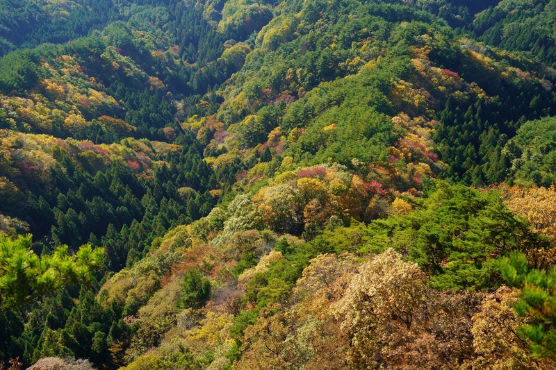 秋深む霊山