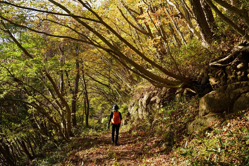 秋深む霊山