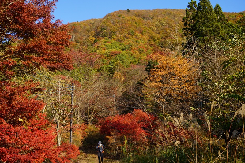 秋深む霊山