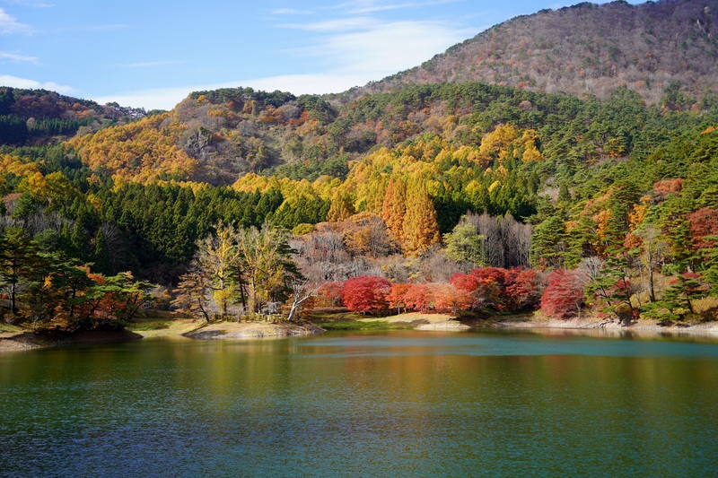 彩る半田沼自然公園