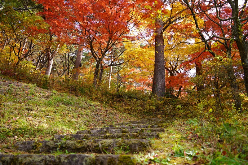 彩る半田沼自然公園