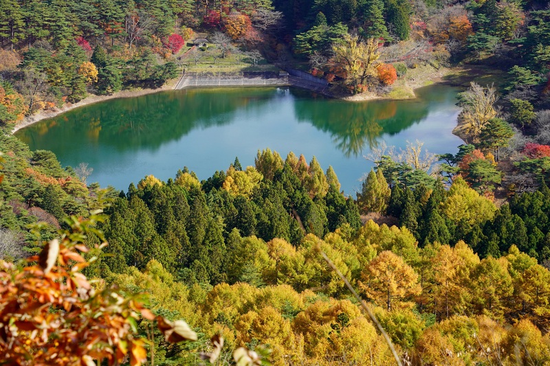 彩る半田沼自然公園