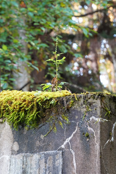 奇岩怪石の霊山が秋色に染まる