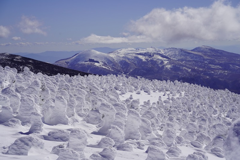 西吾妻山のスノーモンスター群