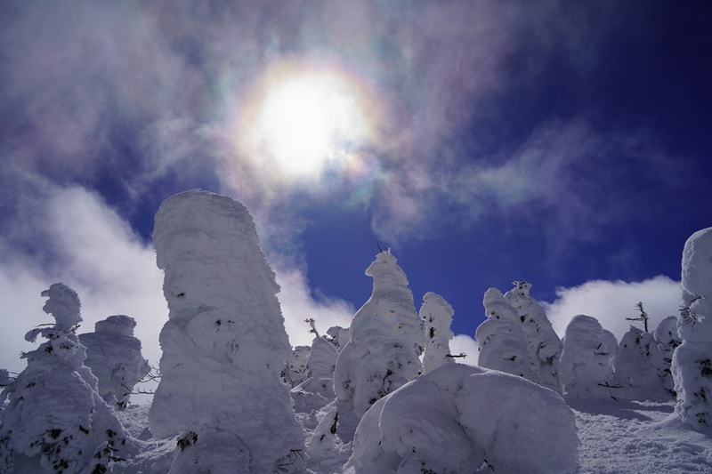 西吾妻山のスノーモンスター群