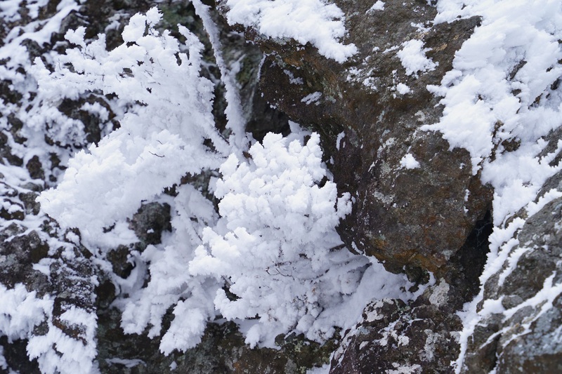 霧氷に包まれるゴリラ岩　～霊山～