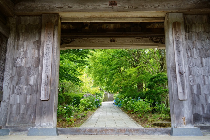 あじさい寺　『位作山　陽林寺』