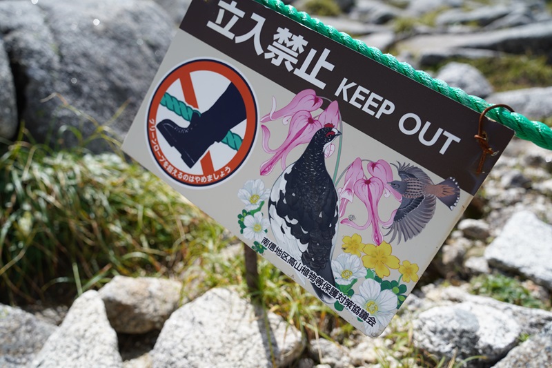 ライチョウ復活!　木曽駒ケ岳