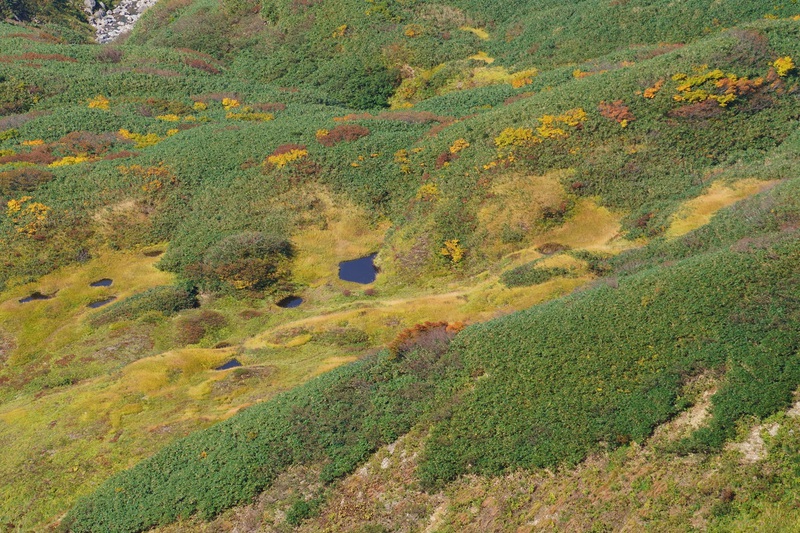 “山粧う”　月山