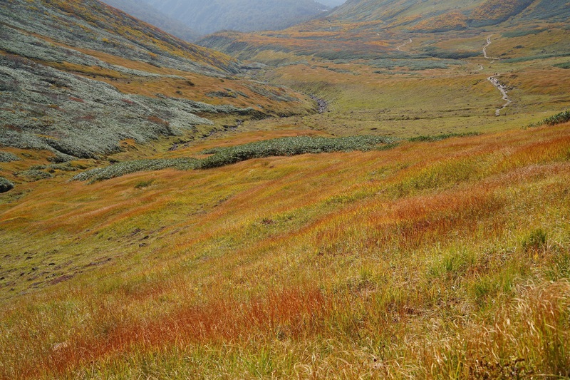 “山粧う”　月山