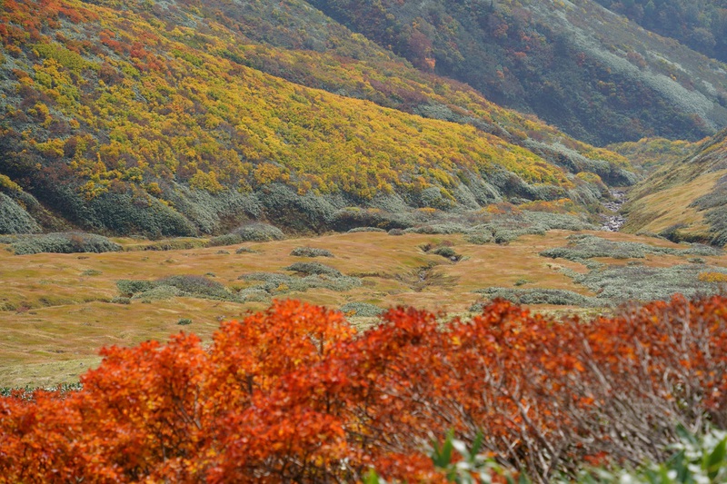 “山粧う”　月山