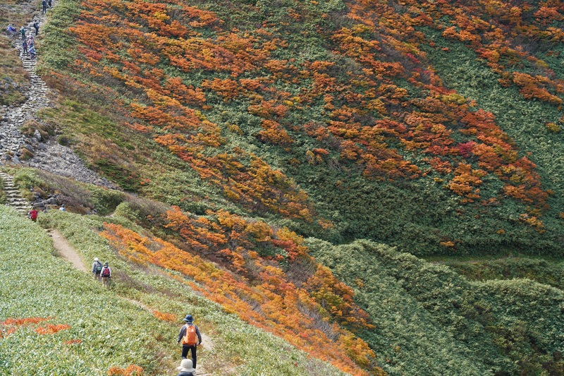 “山粧う”　月山