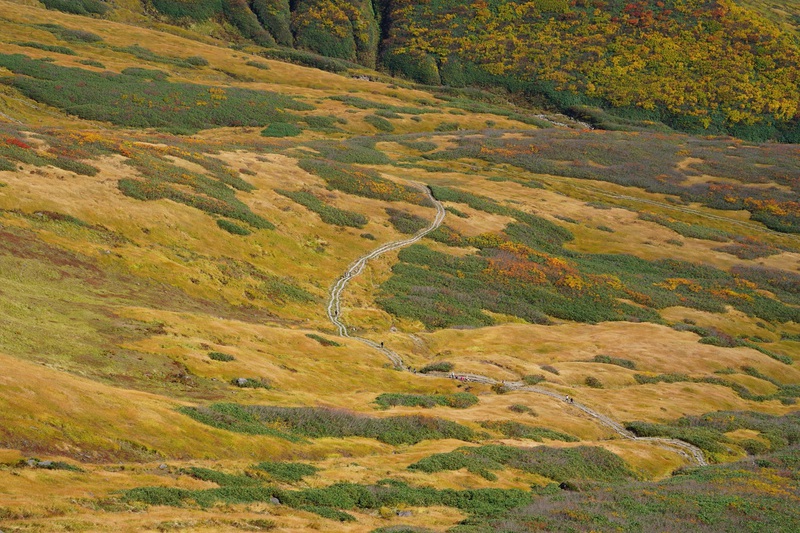 “山粧う”　月山