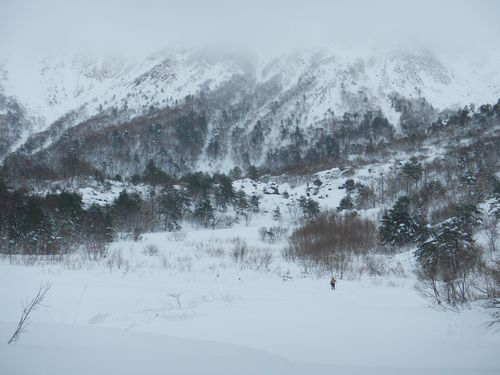 ラッセル(;´ρ`)　イエローフォール