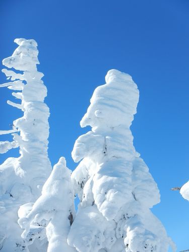 西吾妻山　おとぎの国へ