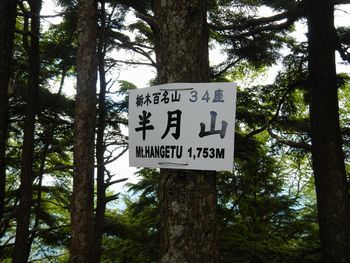 中禅寺湖(千手ヶ浜)のクリンソウと半月山
