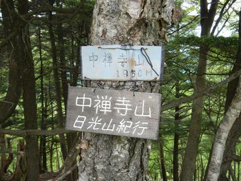 中禅寺湖(千手ヶ浜)のクリンソウと半月山