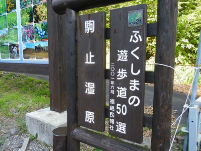 さわやかな　初夏の風に　花ゆれる南会津