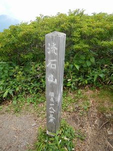 裏那須山域のお花畑