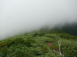 裏那須山域のお花畑