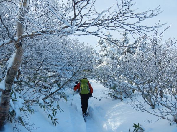 ほんとの空は安達太良山にあり