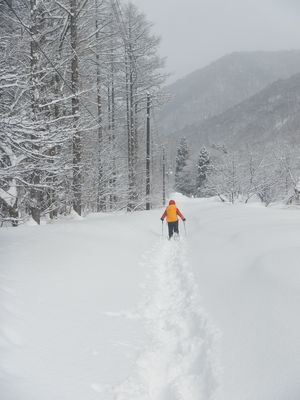 静寂な裏磐梯